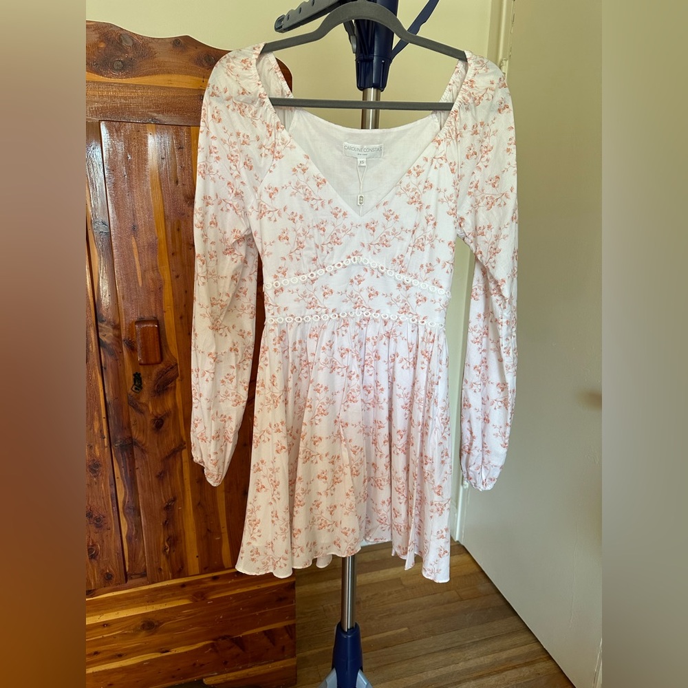 Carolin Constas Long sleeve dress.